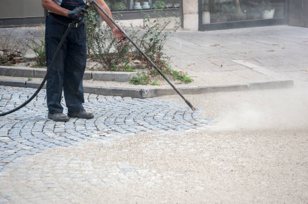 Animal Enclosure Cleaning in Berry College, GA